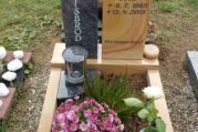 20151017_130404.jpg